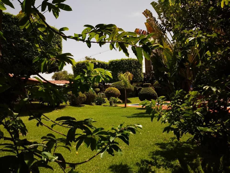 Hotel Alamo Internacional San Salvador Bagian luar foto