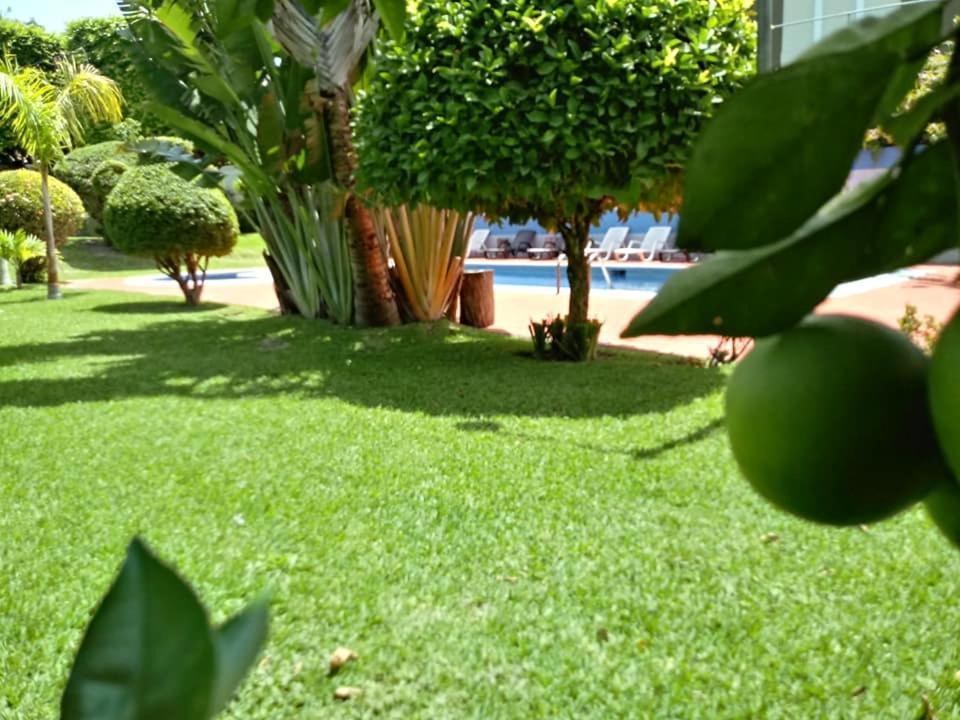 Hotel Alamo Internacional San Salvador Bagian luar foto
