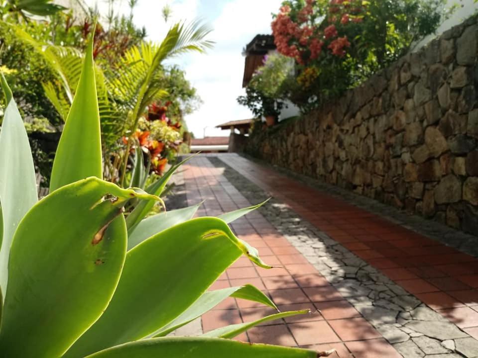 Hotel Alamo Internacional San Salvador Bagian luar foto